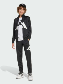 Спортивный костюм Adidas модель JE1399 Фото