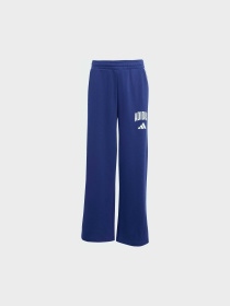 Штани повсякденні Adidas модель JM1539 Фото