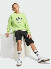 Світшот Adidas Adicolor модель JV8573 Фото