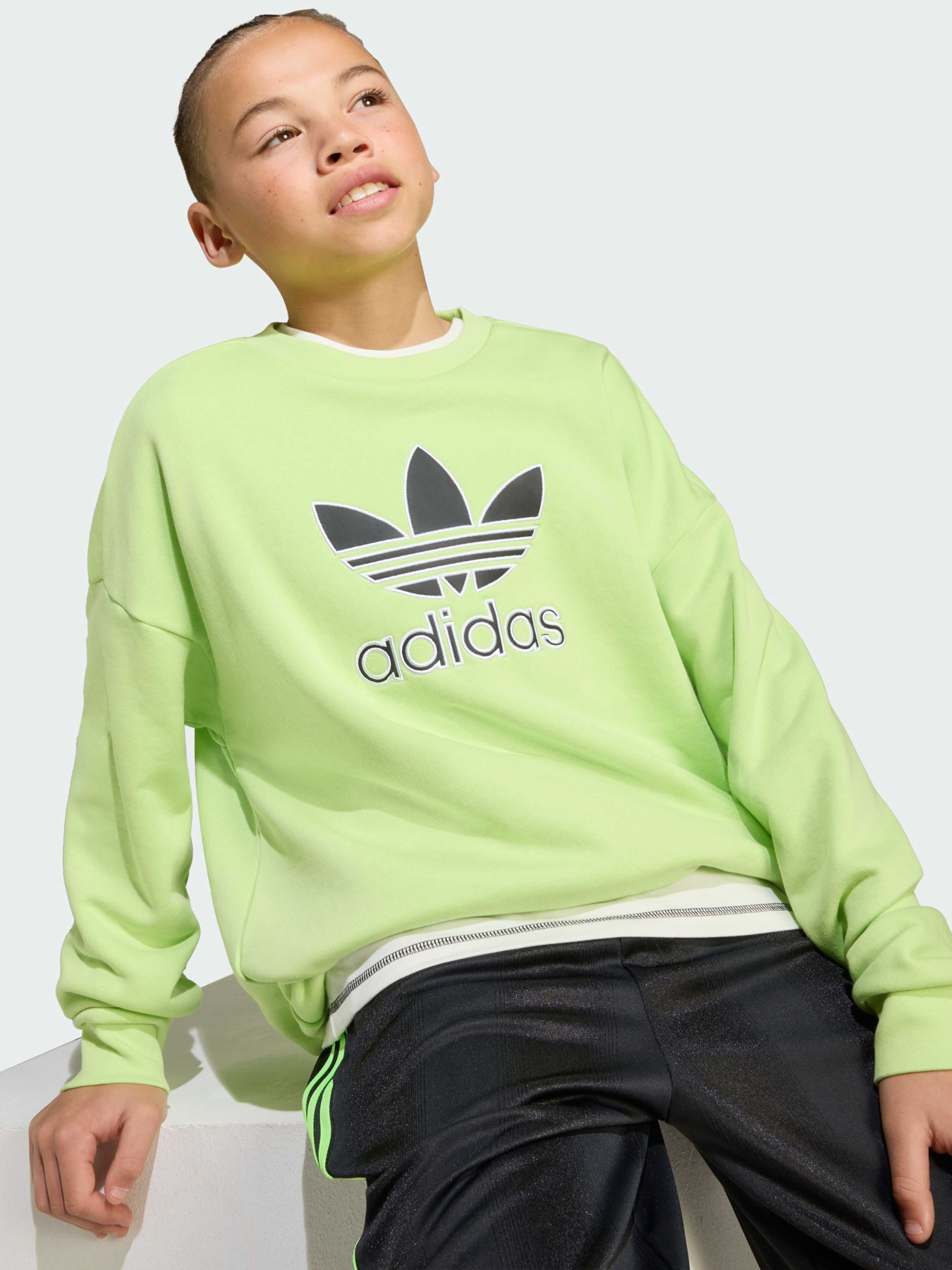 Світшот Adidas Adicolor модель JV8573 Фото