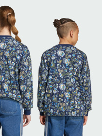 Світшот Adidas Graphics модель JX6316 Фото