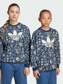 Свитшот Adidas Graphics модель JX6316 Фото