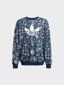 Світшот Adidas Graphics модель JX6316 Фото