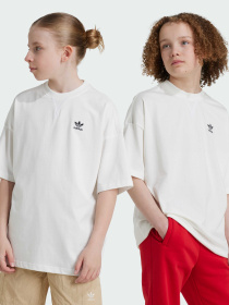 Футболка Adidas модель IX7599 Фото