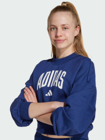 Світшот Adidas модель JM1535 Фото