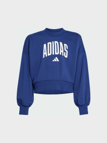 Світшот Adidas модель JM1535 Фото