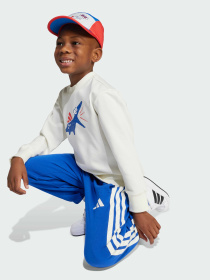 Спортивный костюм Adidas модель JV5848 Фото