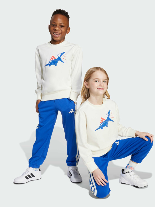 Спортивный костюм Adidas модель JV5848 Фото