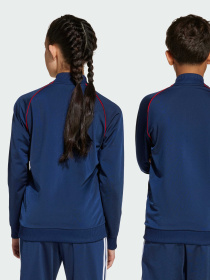 Кофта Adidas Adicolor модель JV8563 Фото