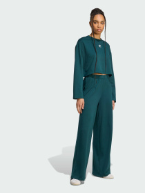 Штани повсякденні Adidas модель JW6094 Фото