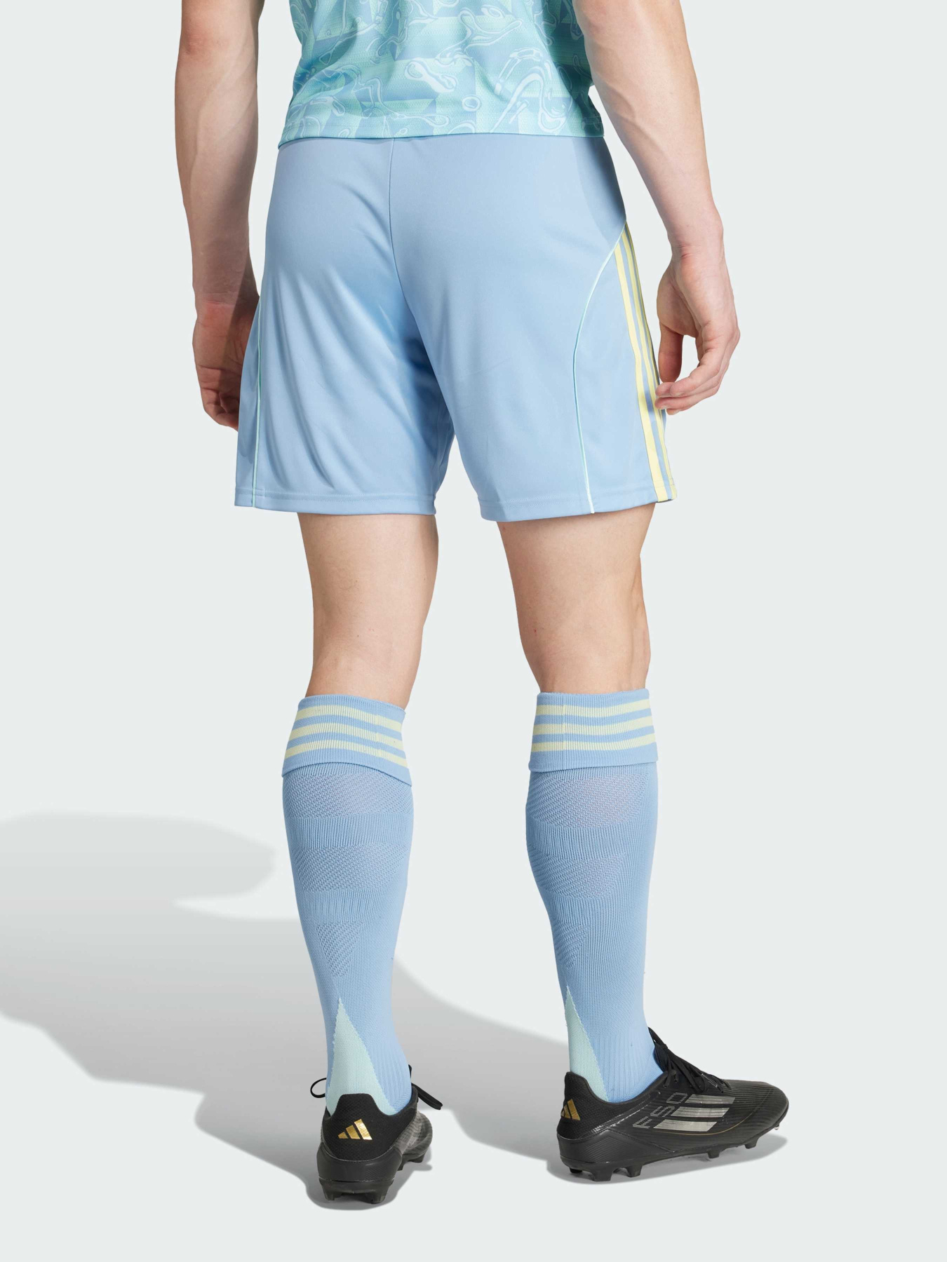 Спортивні шорти Adidas модель JJ4325 Спортивні шорти Adidas модель JJ4325 Фото