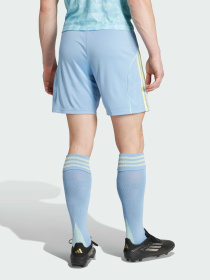 Спортивні шорти Adidas модель JJ4325 Спортивні шорти Adidas модель JJ4325 Фото