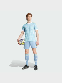 Спортивні шорти Adidas модель JJ4325 Спортивні шорти Adidas модель JJ4325 Фото