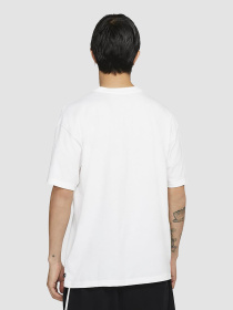 Футболка NIKE Sb Chino Shorts модель DC7817-100 Фото