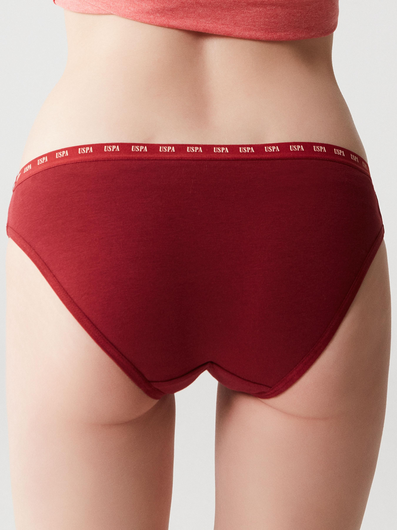 Набір трусів US Polo модель P66244SETRBB Фото