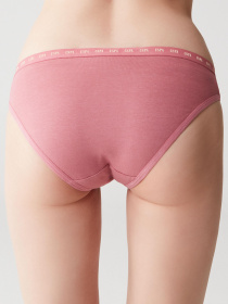 Набір трусів US Polo модель P66244SETRBB Фото