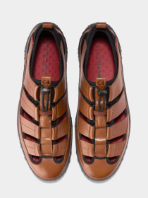 Сандалии Cole Haan модель C41912 Сандалии Cole Haan модель C41912 Фото