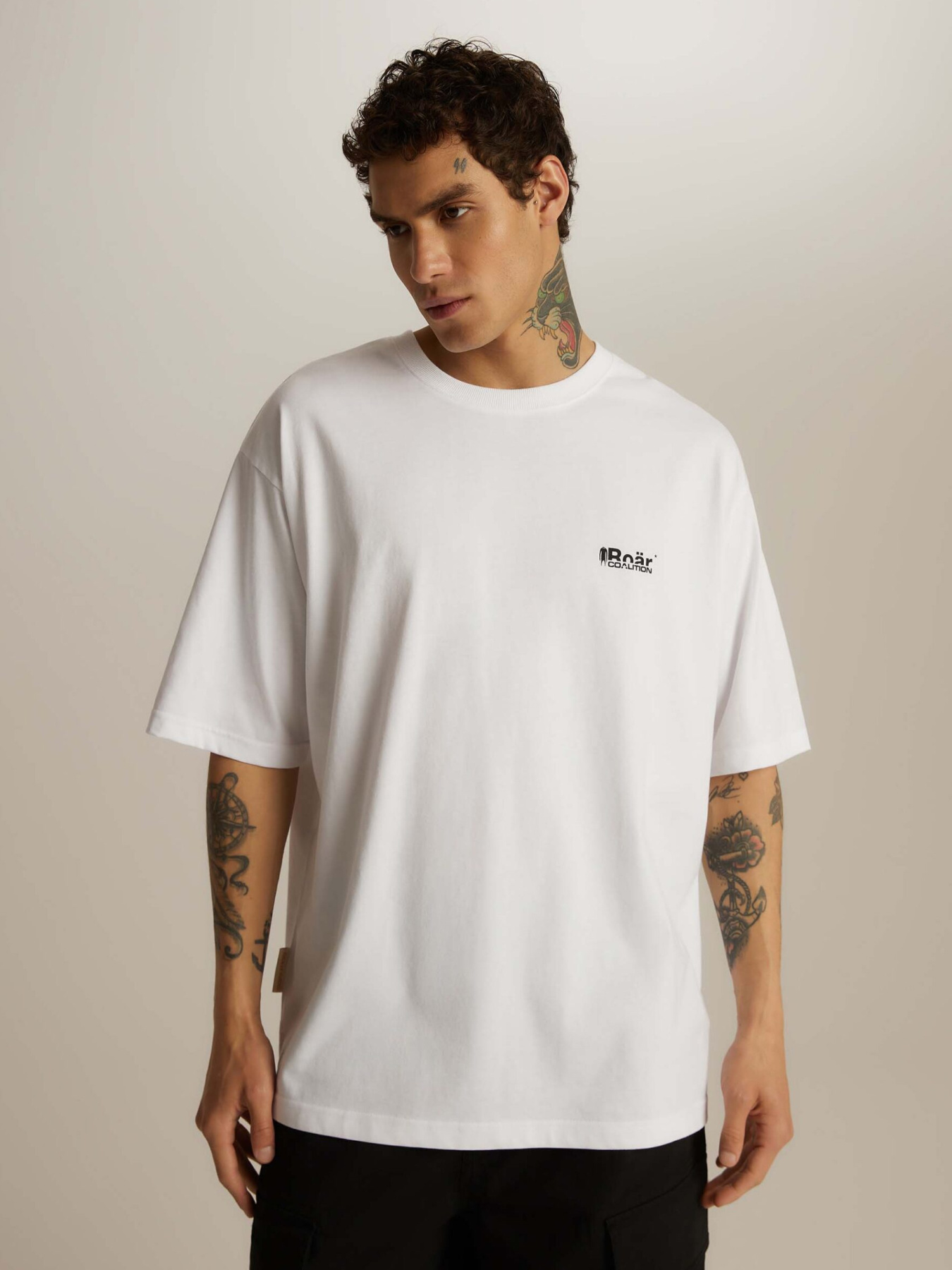 Футболка DIVERSE модель 10047167 Фото