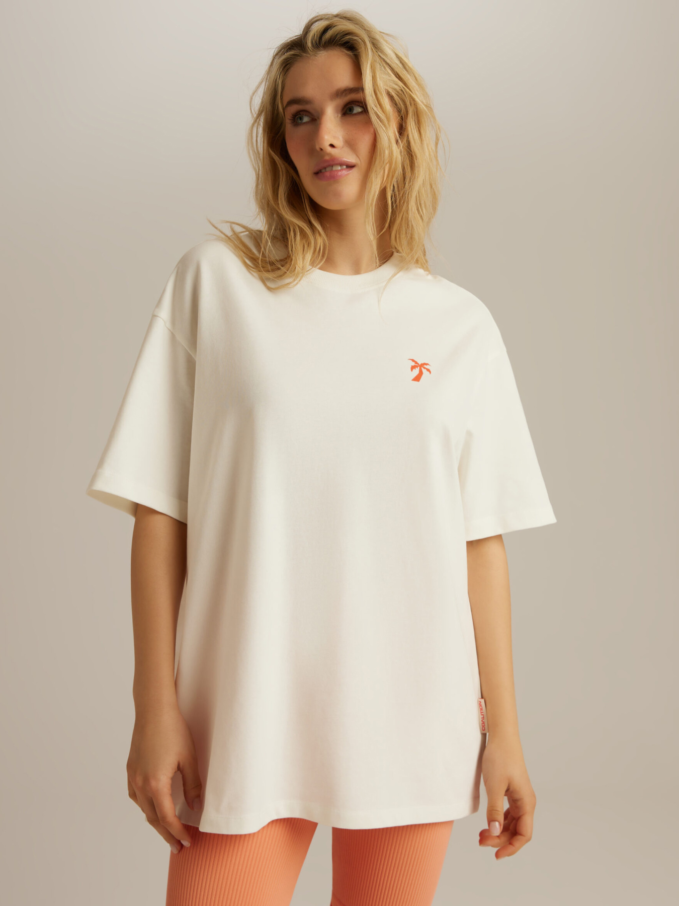 Футболка DIVERSE модель 10047121 Фото