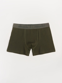 Набор трусов DIVERSE модель 10047110 Фото