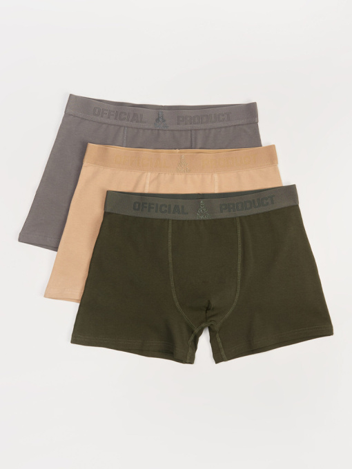 Набір трусів DIVERSE модель 10047110 Фото