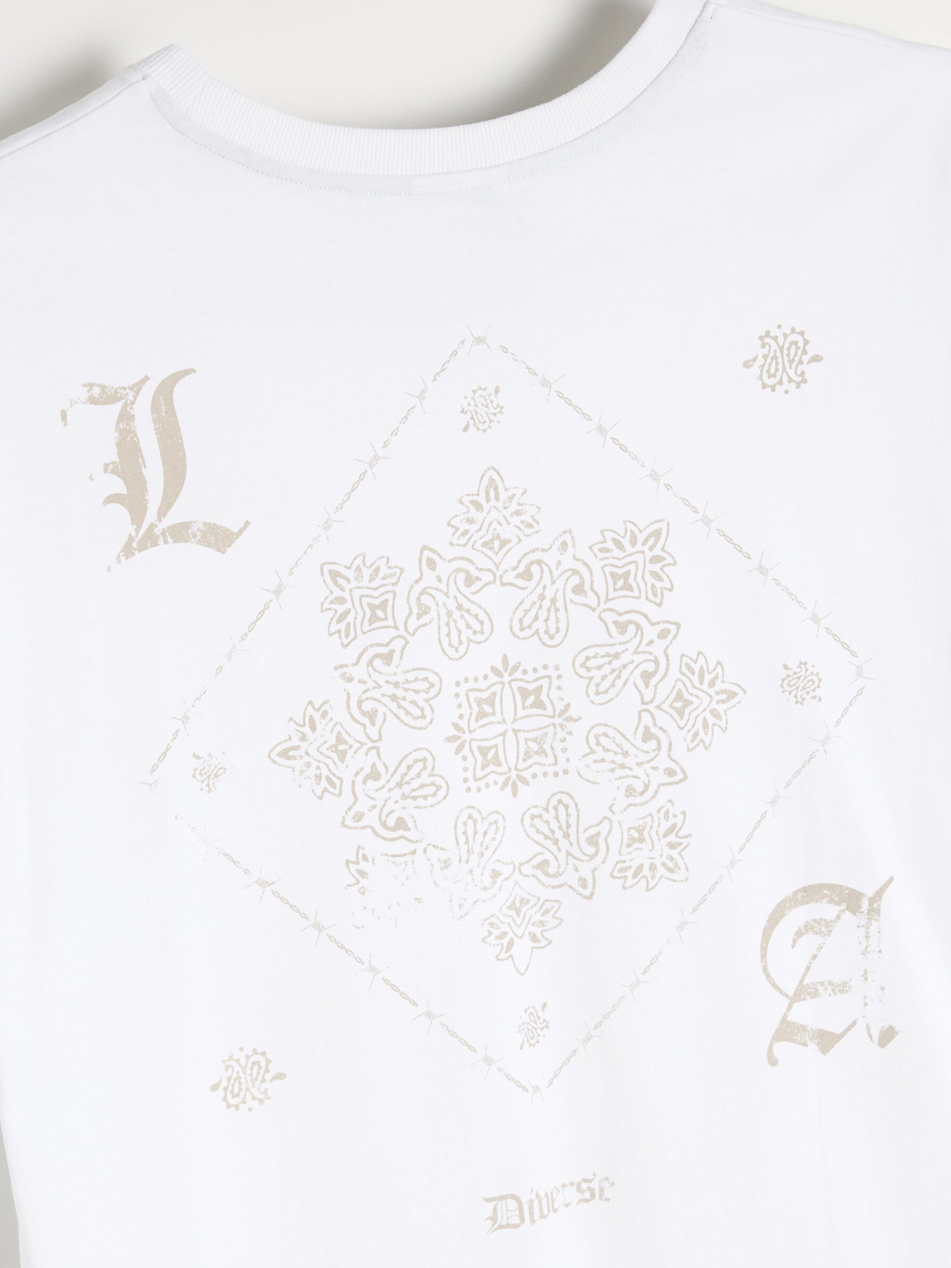 Футболка DIVERSE модель 10046926 Фото