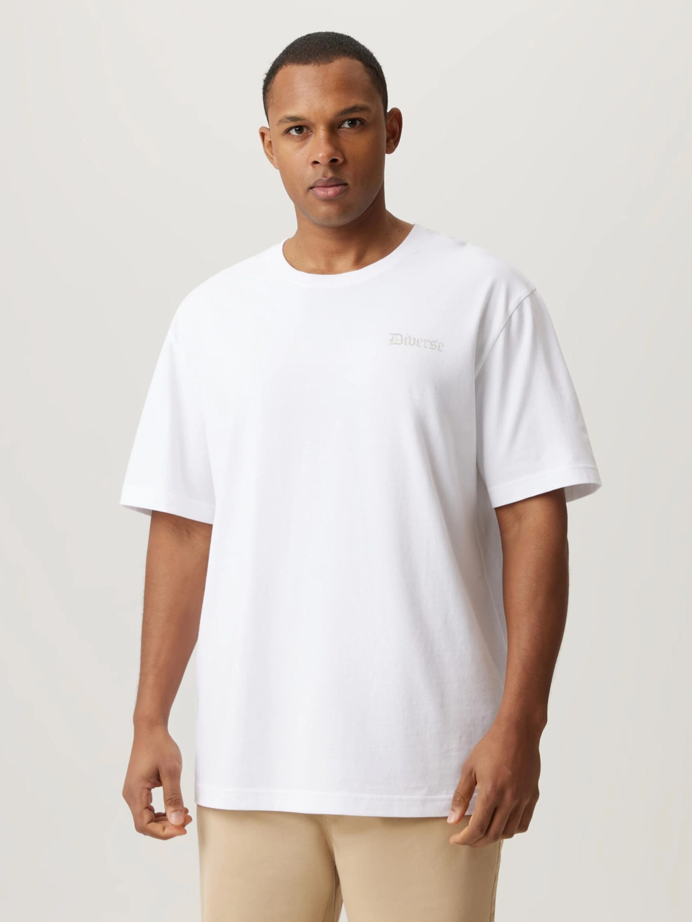 Футболка DIVERSE модель 10046926 Фото