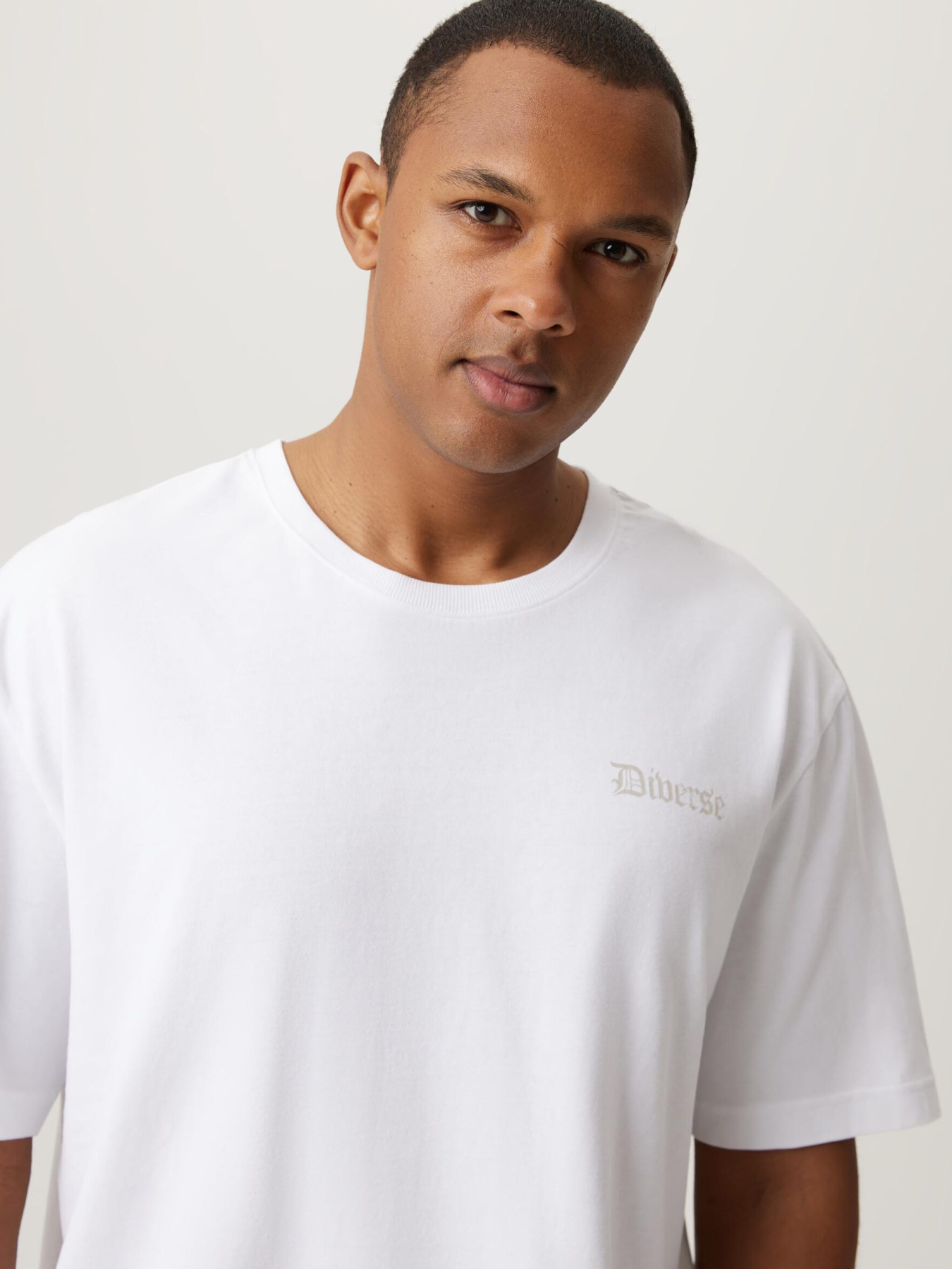 Футболка DIVERSE модель 10046926 Фото