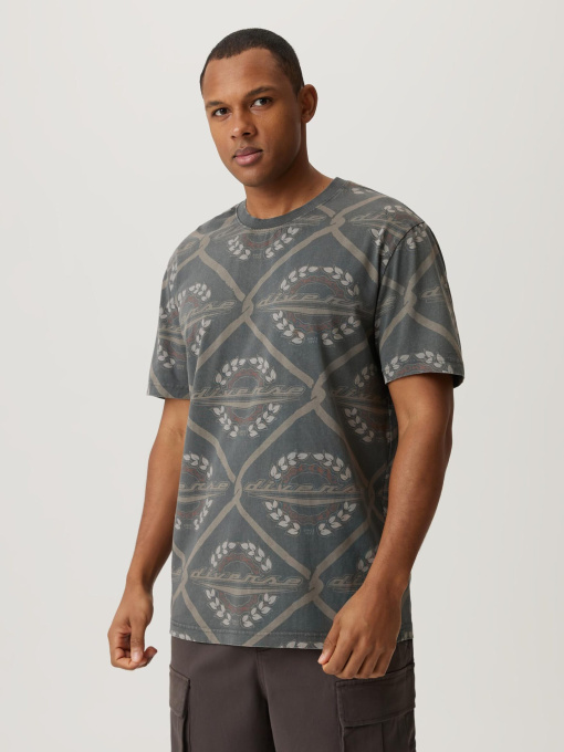 Футболка DIVERSE модель 10046925 Фото