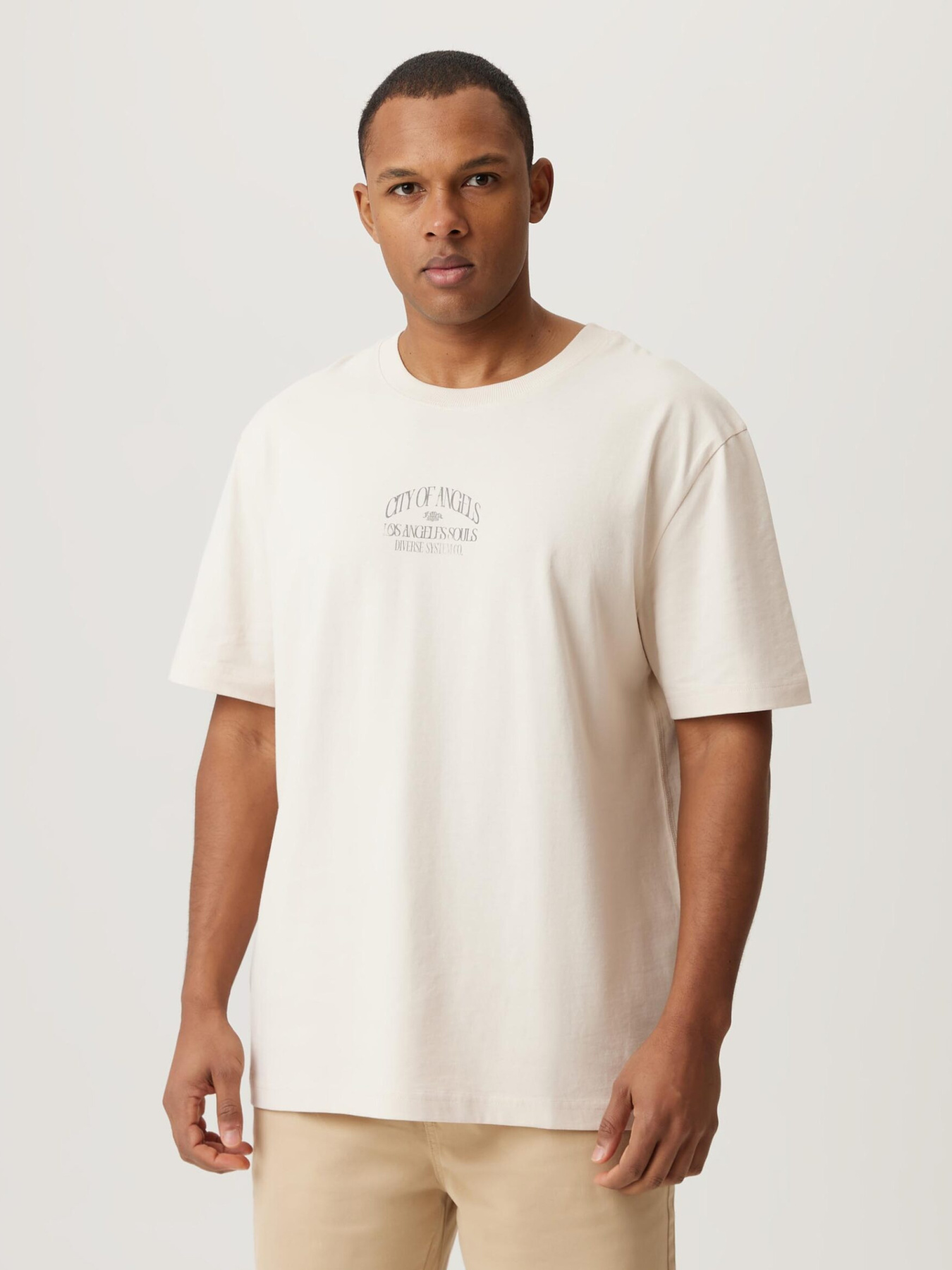 Футболка DIVERSE модель 10046924 Фото