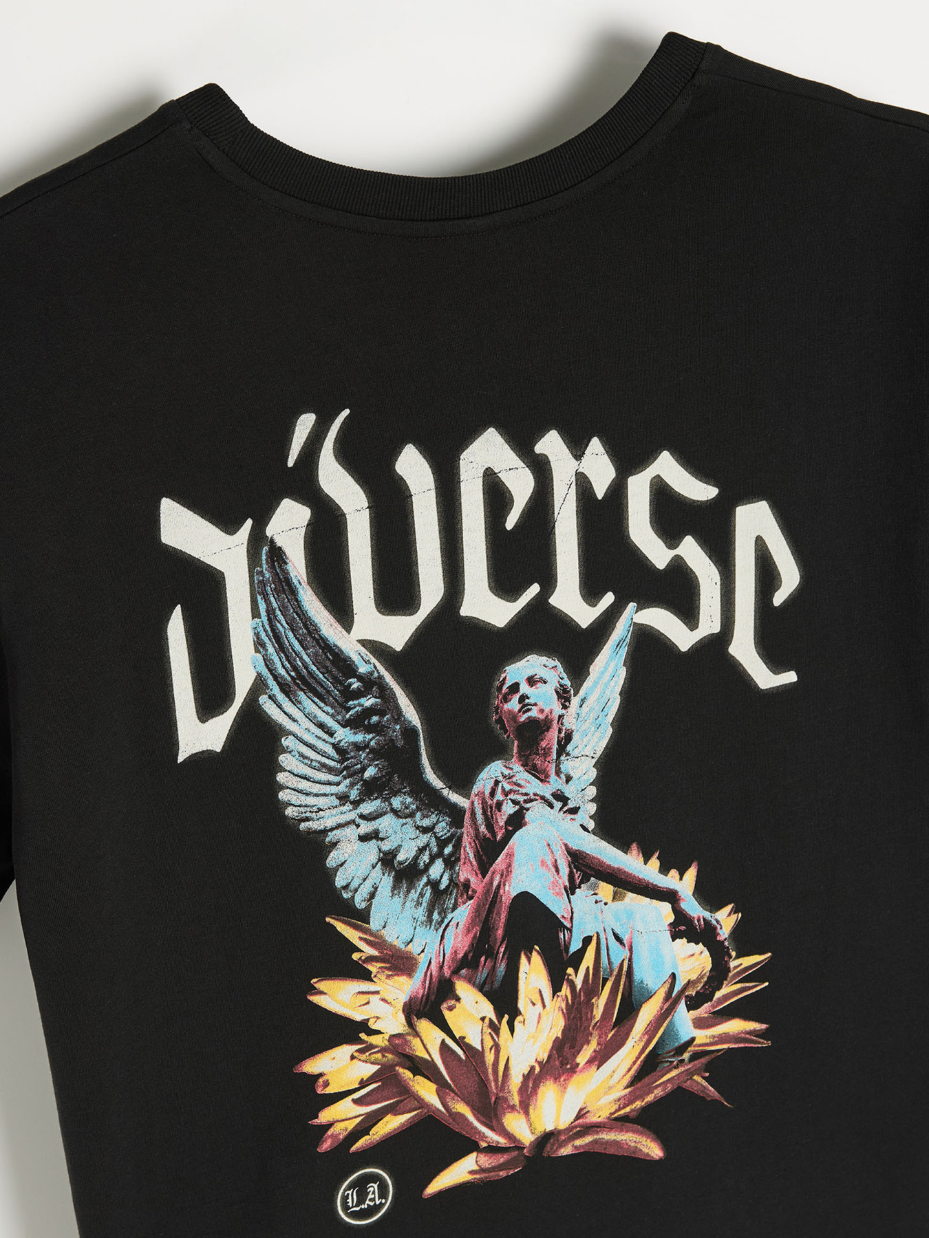 Футболка DIVERSE модель 10046920 Фото