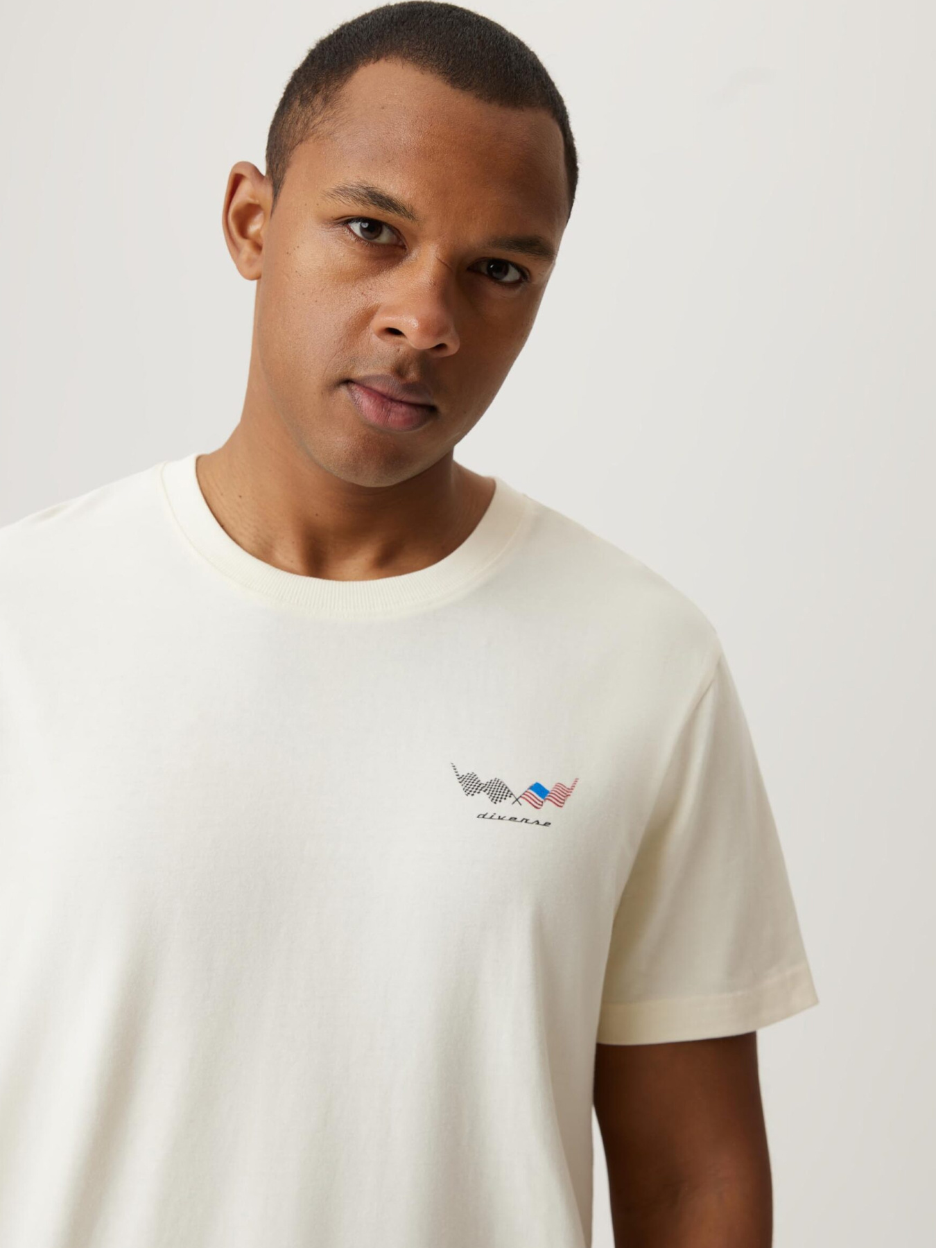 Футболка DIVERSE модель 10046918 Фото