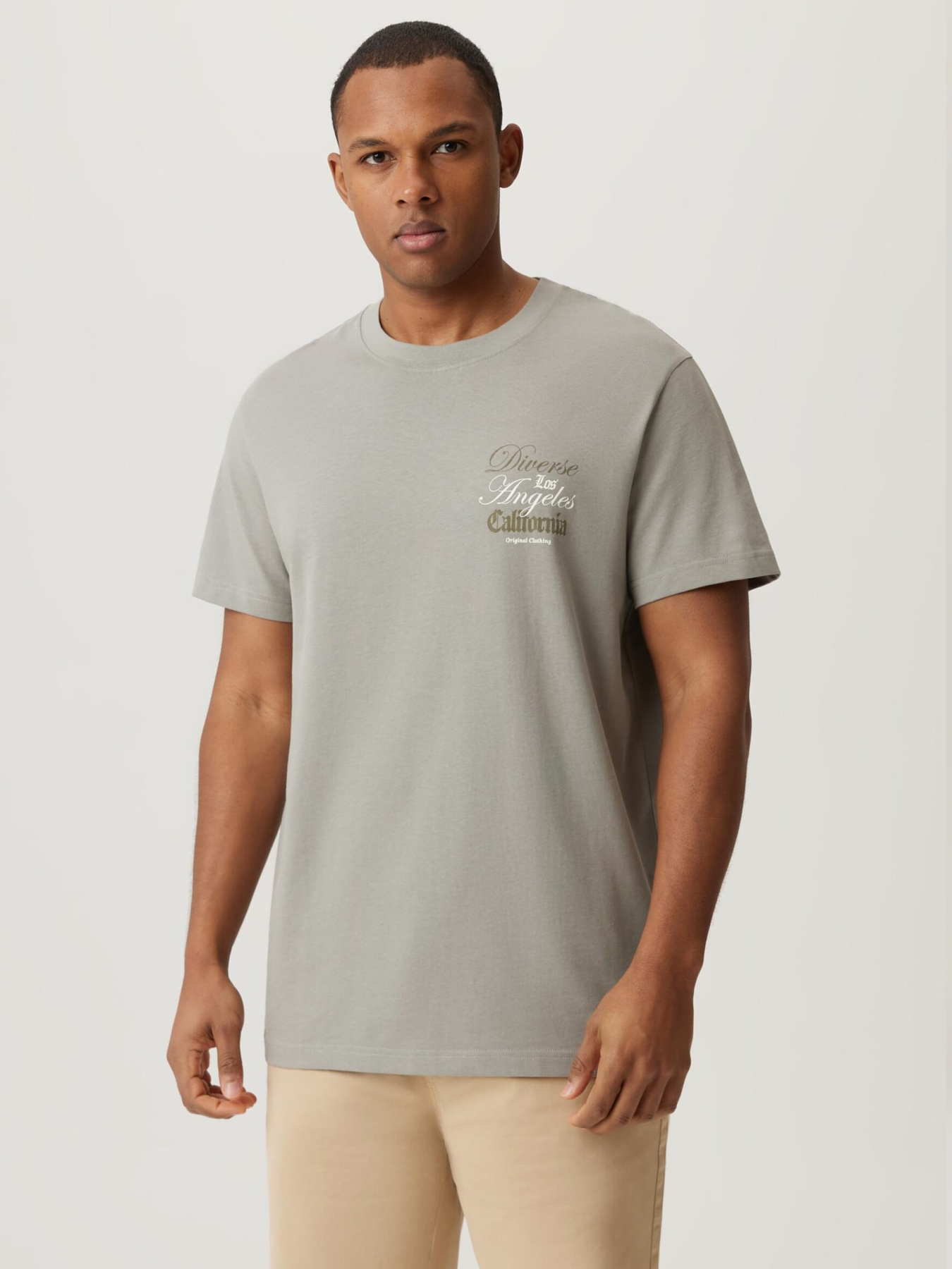 Футболка DIVERSE модель 10046915 Фото