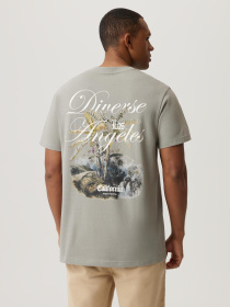 Футболка DIVERSE модель 10046915 Фото