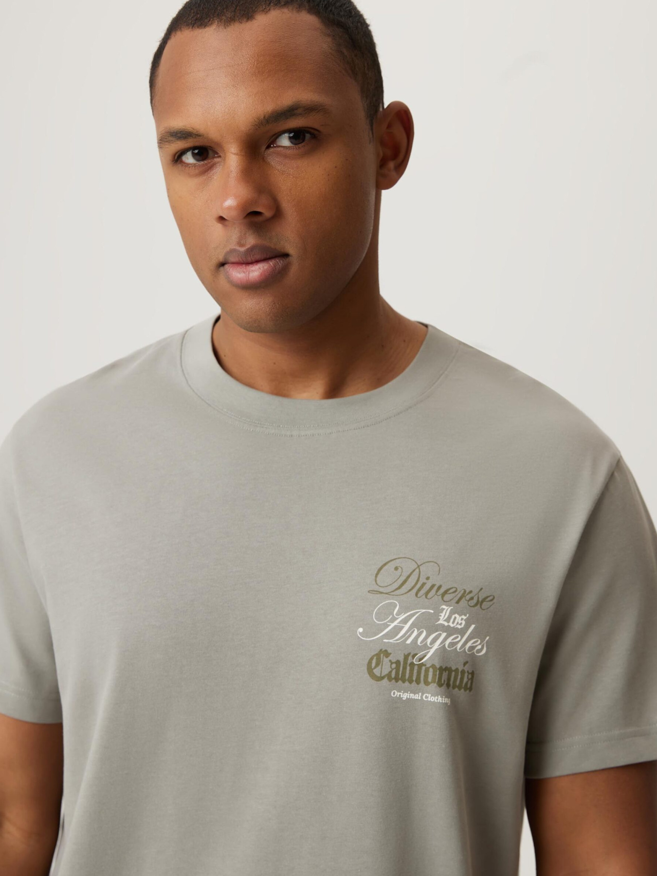 Футболка DIVERSE модель 10046915 Фото