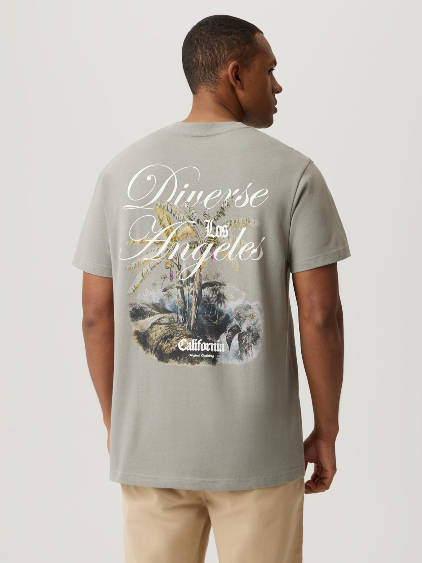 Футболка DIVERSE модель 10046915 Фото