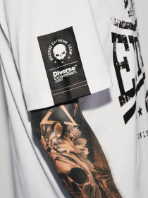 Футболка DIVERSE модель 10046904 Фото