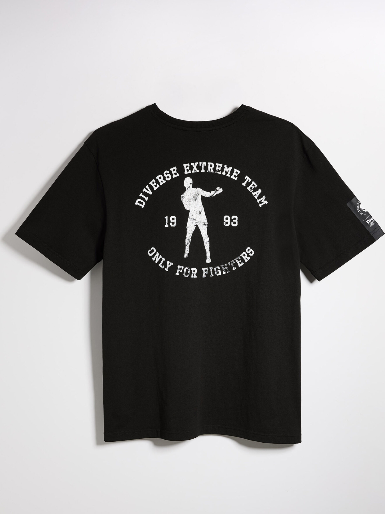 Футболка DIVERSE модель 10046900 Фото