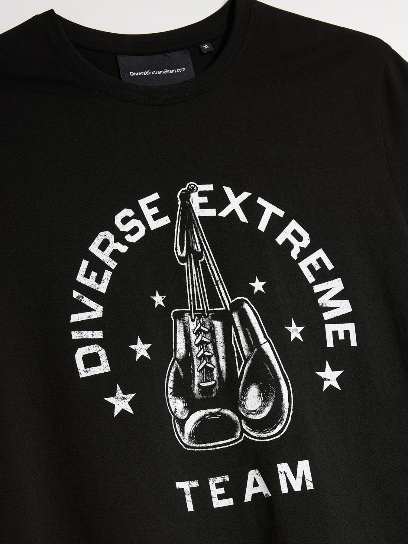 Футболка DIVERSE модель 10046899 Фото