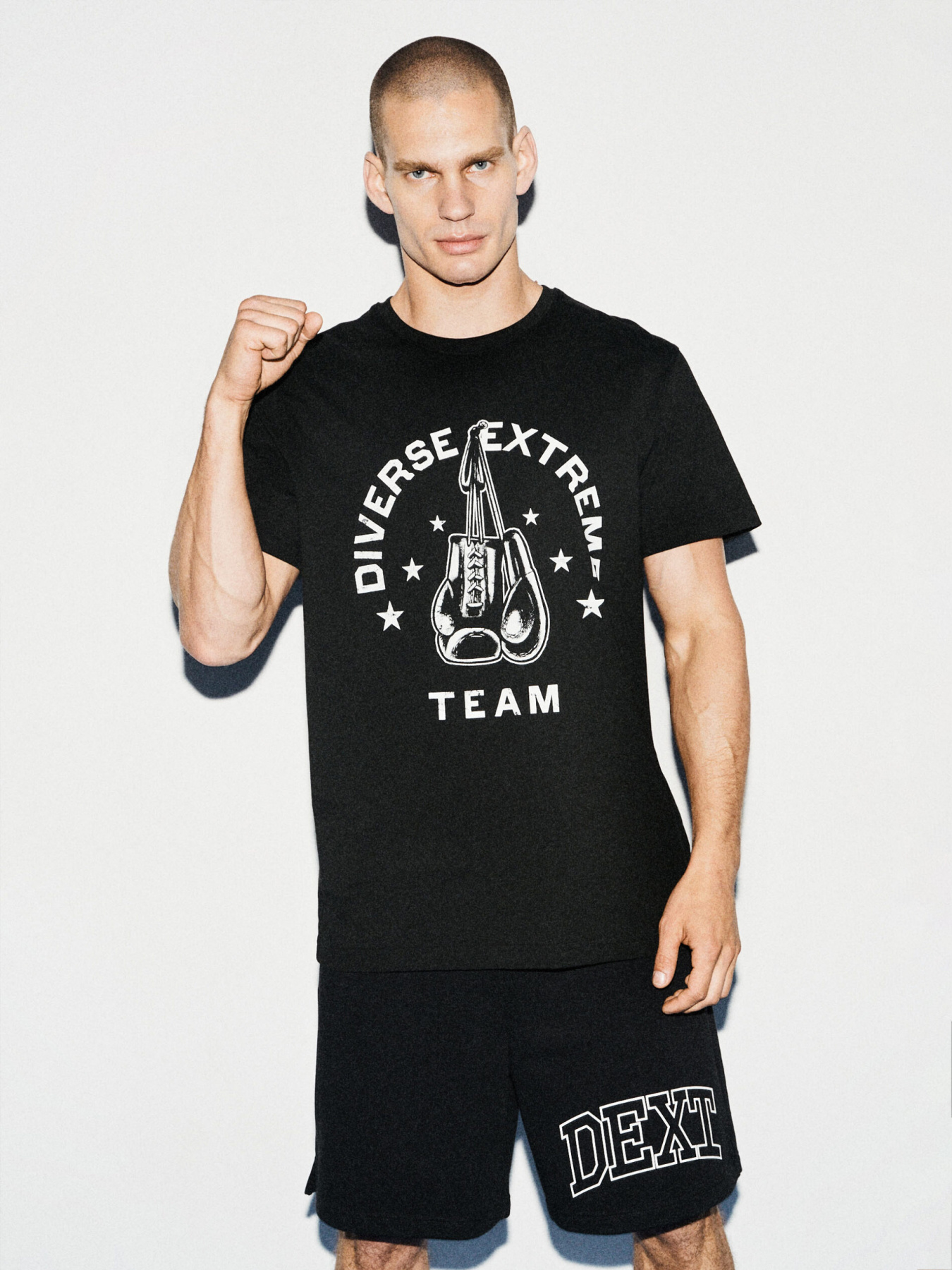 Футболка DIVERSE модель 10046899 Фото