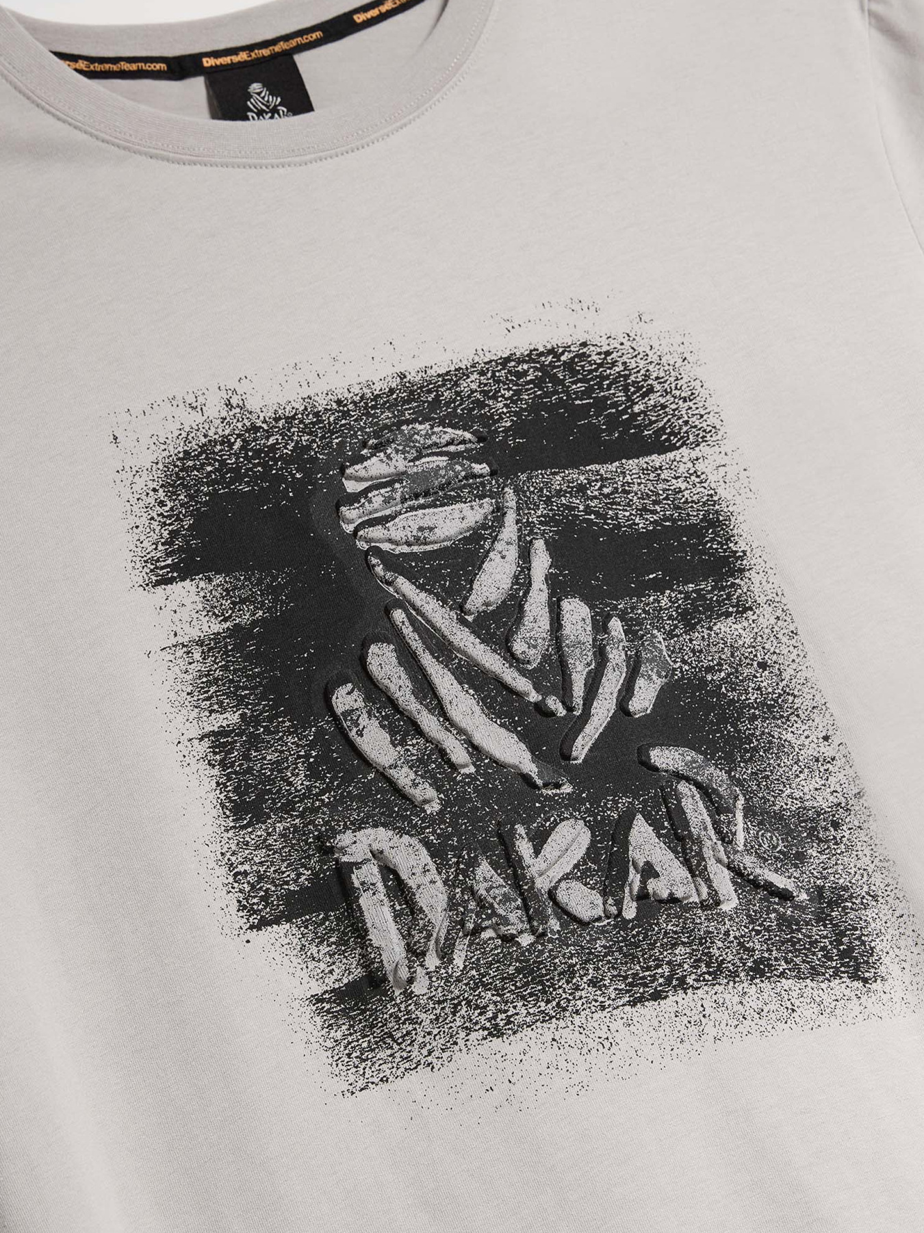 Футболка DIVERSE модель 10046893 Фото