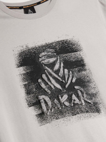 Футболка DIVERSE модель 10046893 Фото