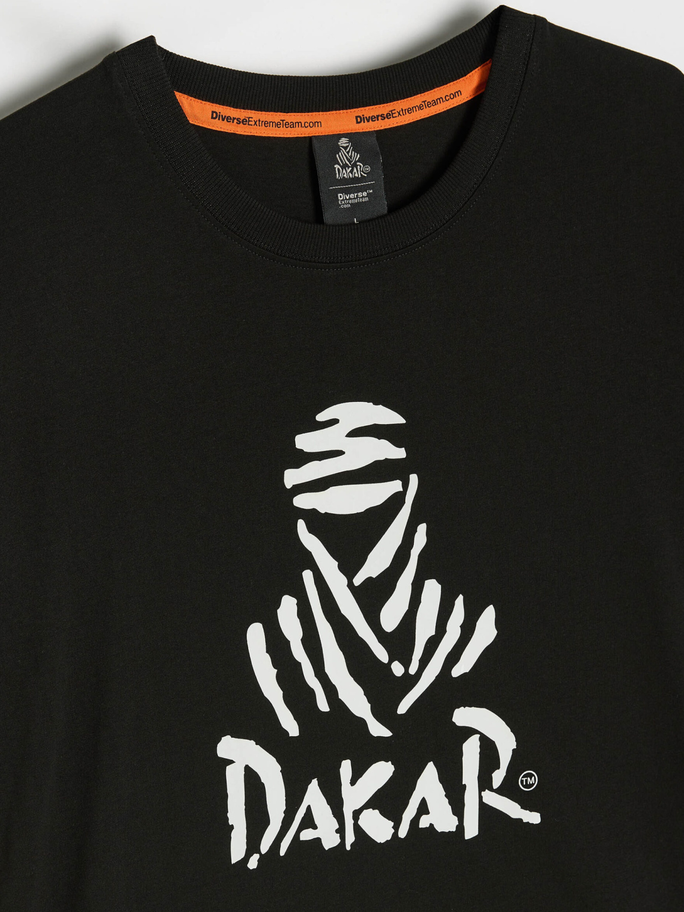 Футболка DIVERSE модель 10046892 Фото