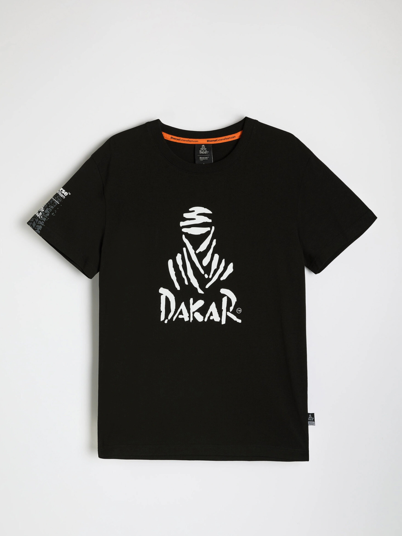 Футболка DIVERSE модель 10046892 Фото