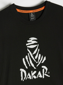 Футболка DIVERSE модель 10046892 Фото