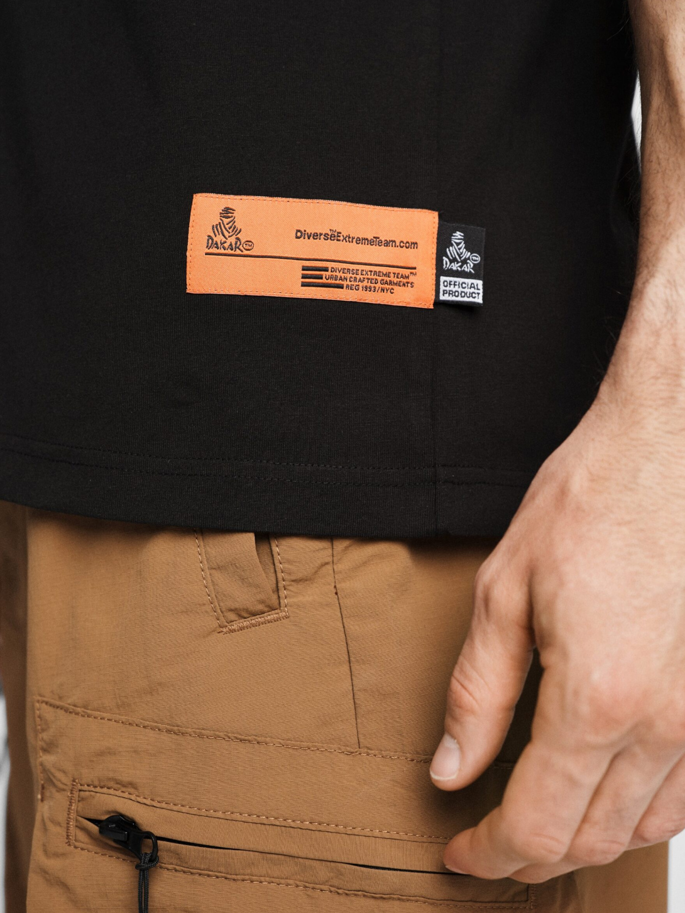 Футболка DIVERSE модель 10046891 Фото