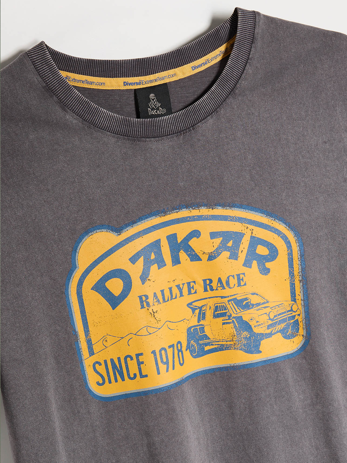 Футболка DIVERSE модель 10046888 Фото