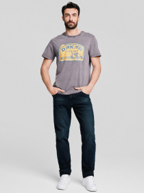 Футболка DIVERSE модель 10046888 Фото