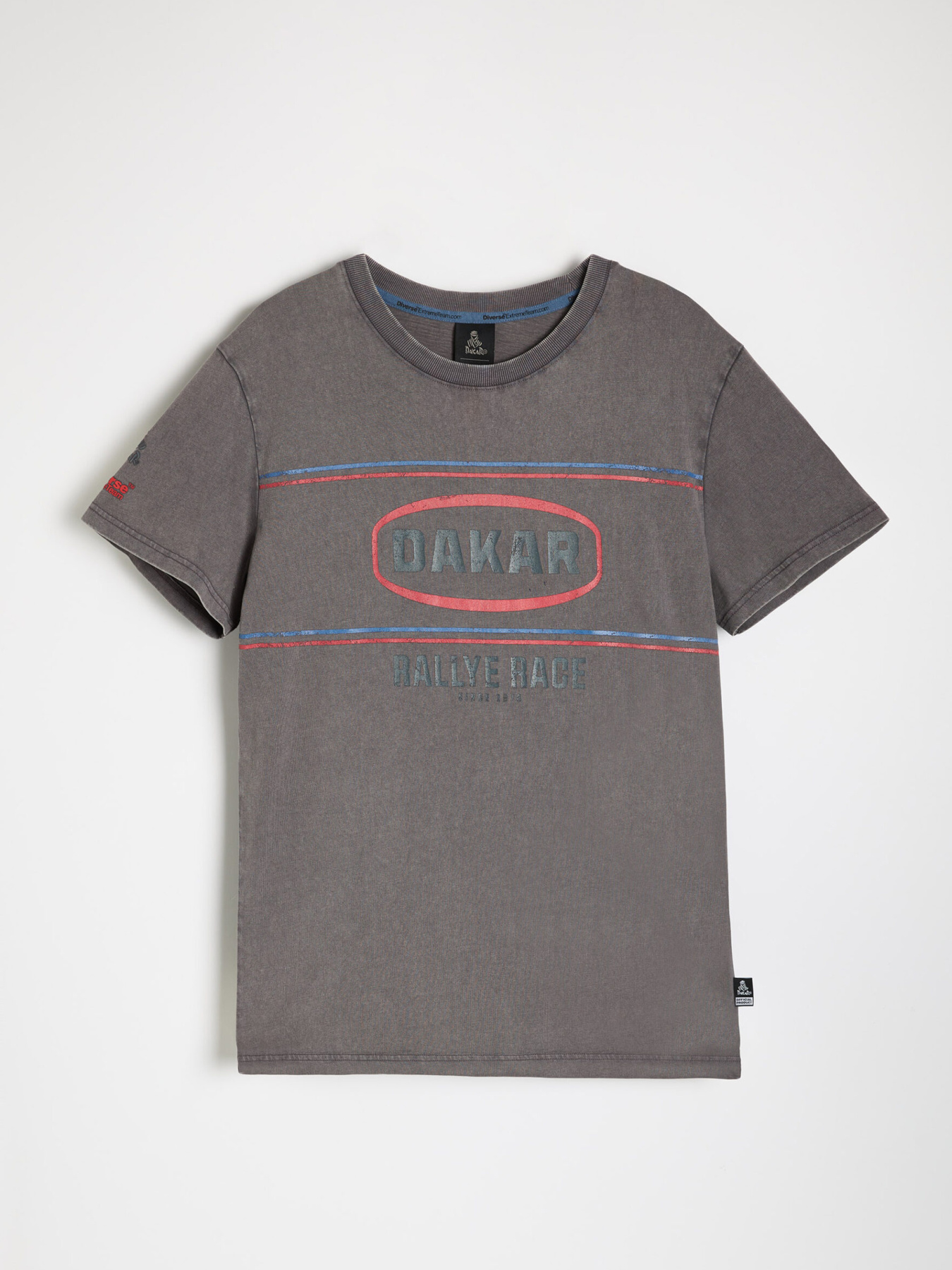 Футболка DIVERSE модель 10046887 Фото