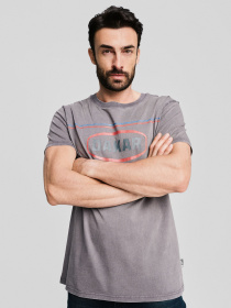 Футболка DIVERSE Модель 10046887 Фото